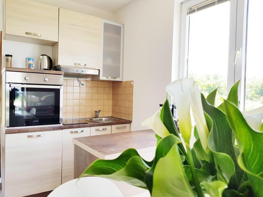 Talija Apartments Krimovica Будва Екстер'єр фото